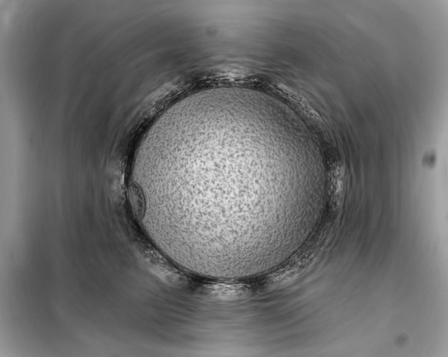 X0000098170615200805081002