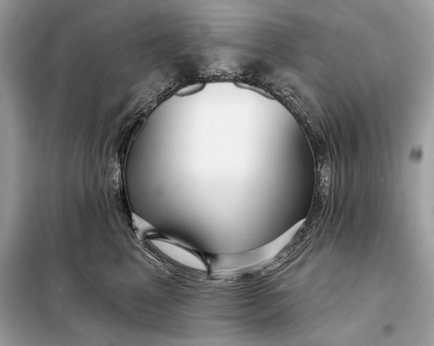 X0000098170617200805081002