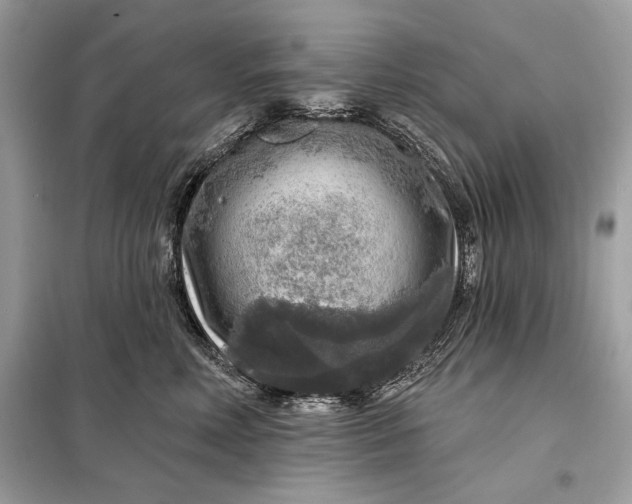 X0000098170618200805081002