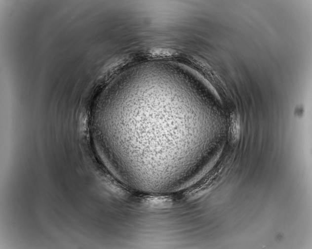 X0000098170619200805081002