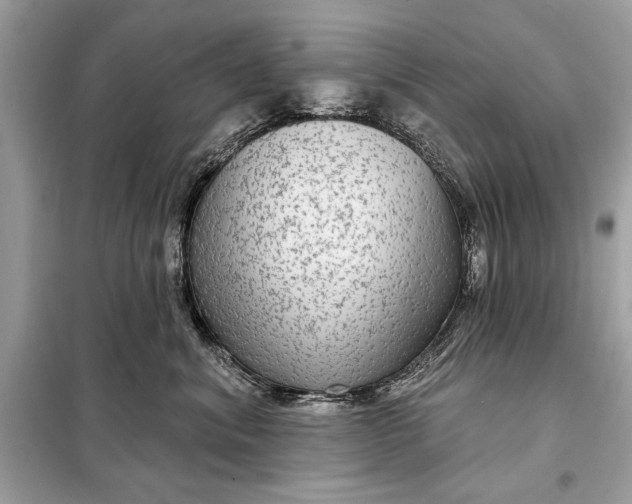 X0000098170620200805081002