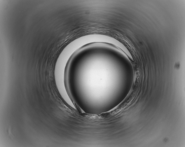 X0000098170621200805081002