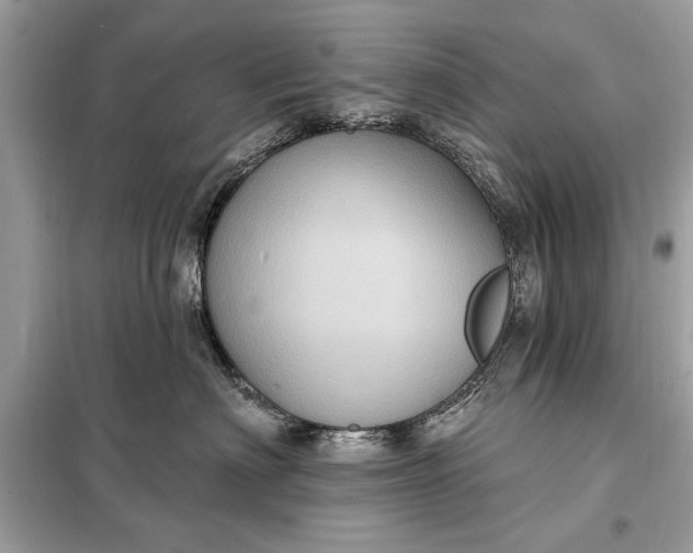 X0000098170622200805081002