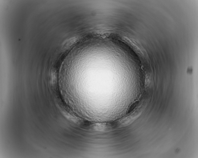 X0000098170623200805081002