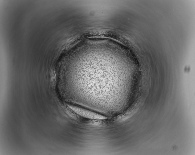 X0000098170624200805081002