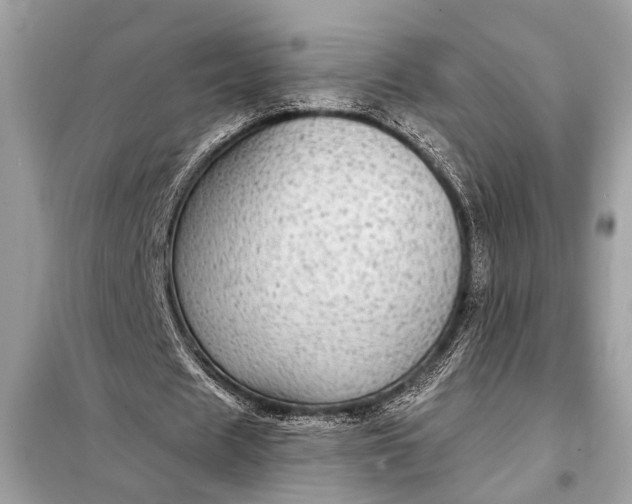 X0000098170625200805081002