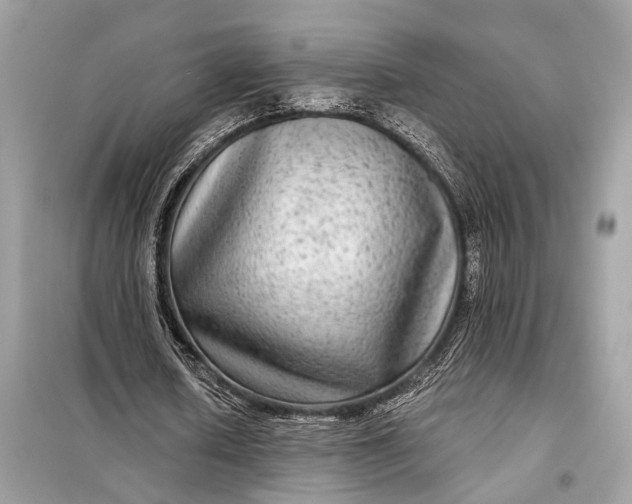 X0000098170626200805081002