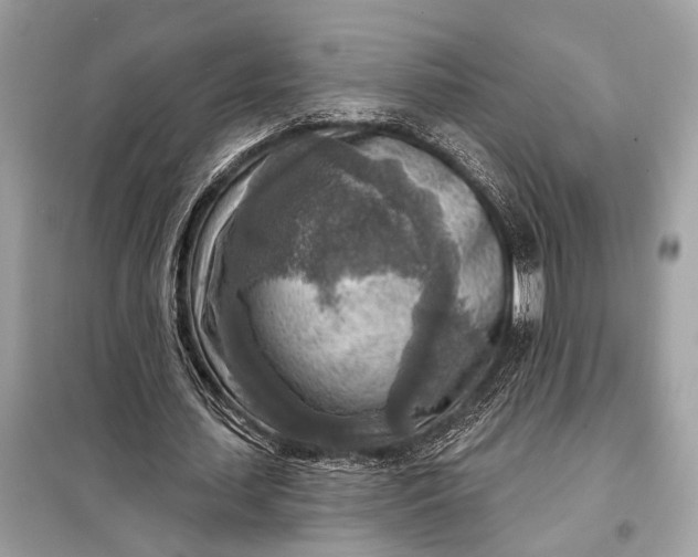 X0000098170627200805081002