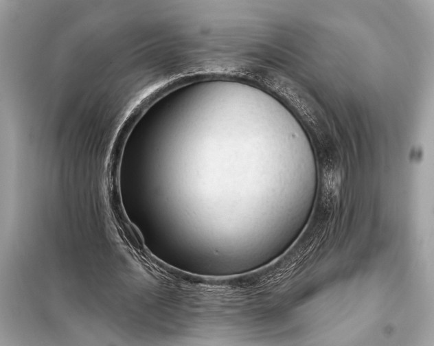 X0000098170628200805081002