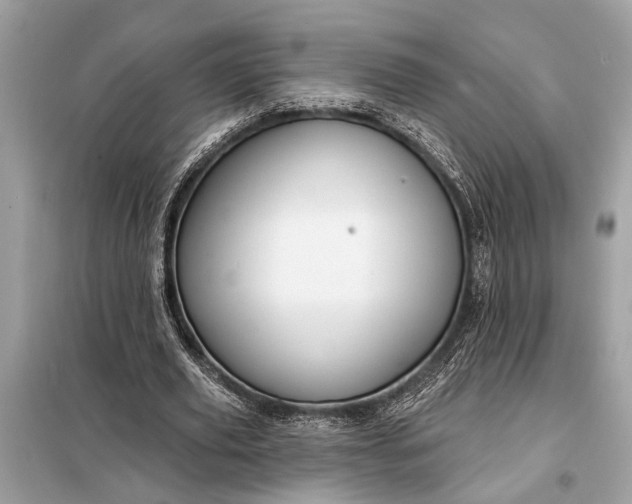 X0000098170629200805081002