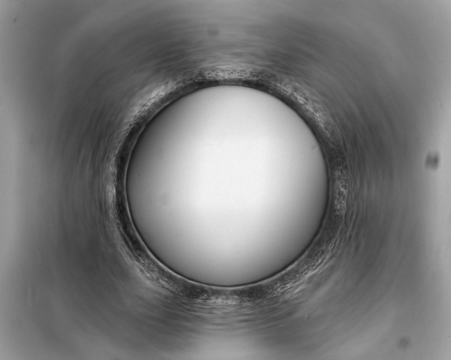 X0000098170631200805081002