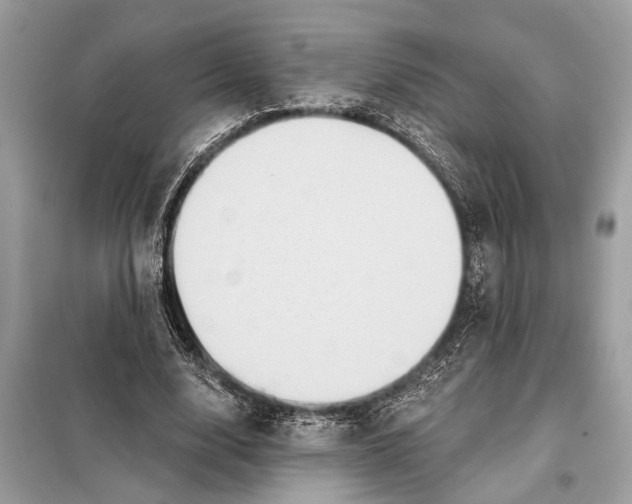 X0000098170632200805081002