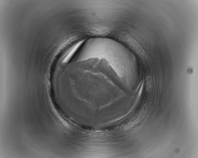 X0000098170634200805081002