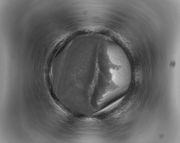 X0000098170637200805081002