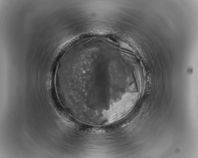 X0000098170640200805081002