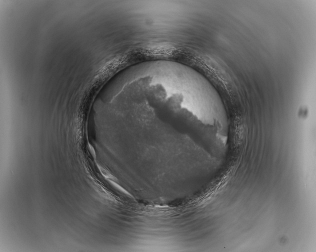 X0000098170641200805081002