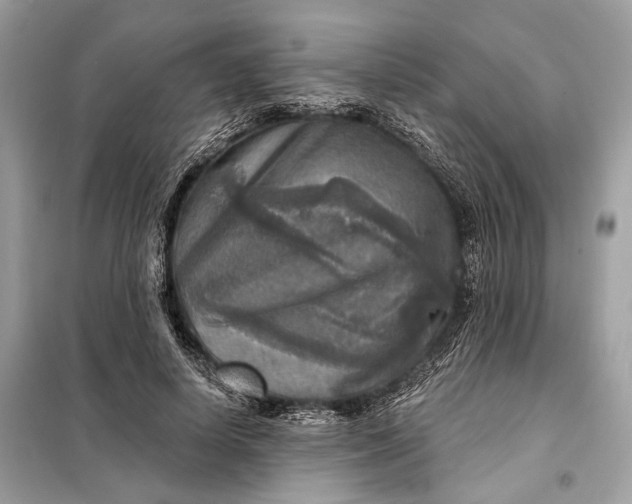 X0000098170642200805081002