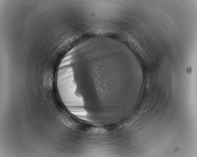 X0000098170644200805081002