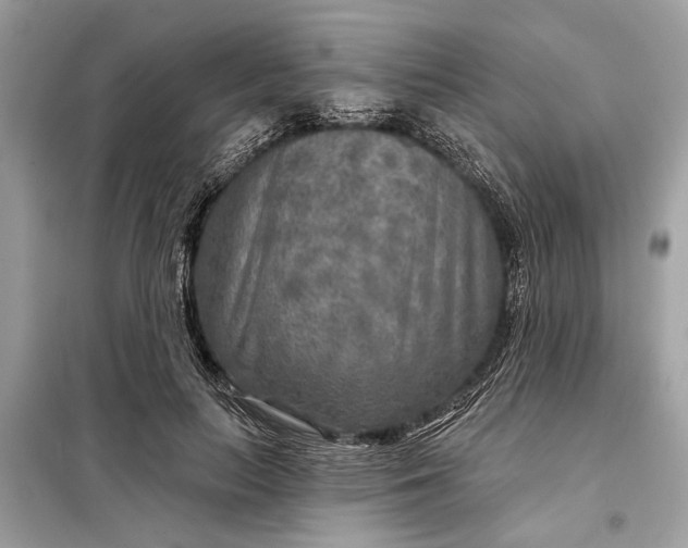 X0000098170647200805081002