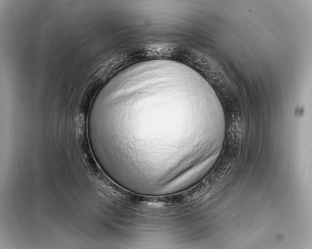 X0000098170649200805081002