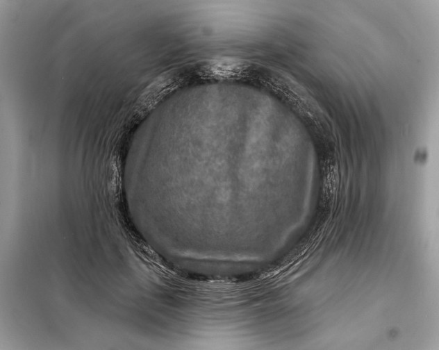 X0000098170651200805081002