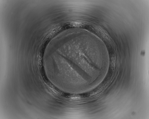 X0000098170653200805081002