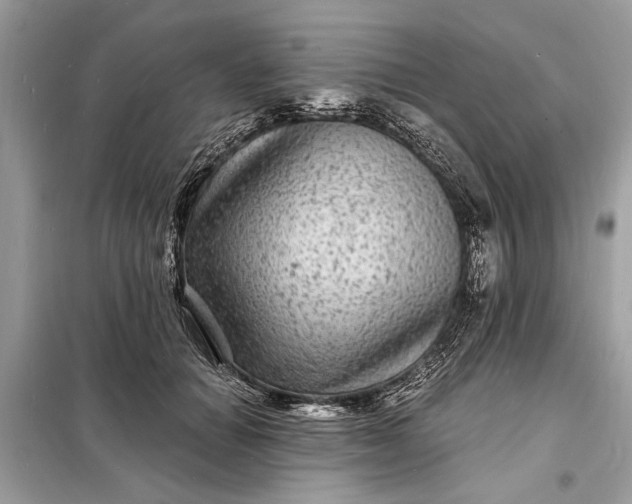 X0000098170654200805081002