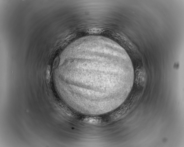 X0000098170655200805081002