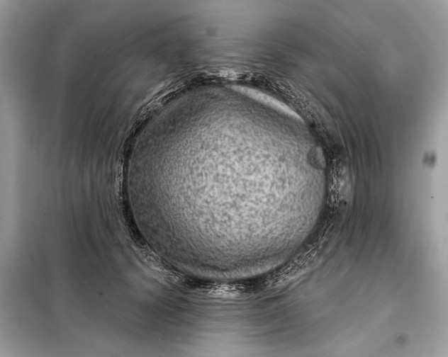 X0000098170656200805081002