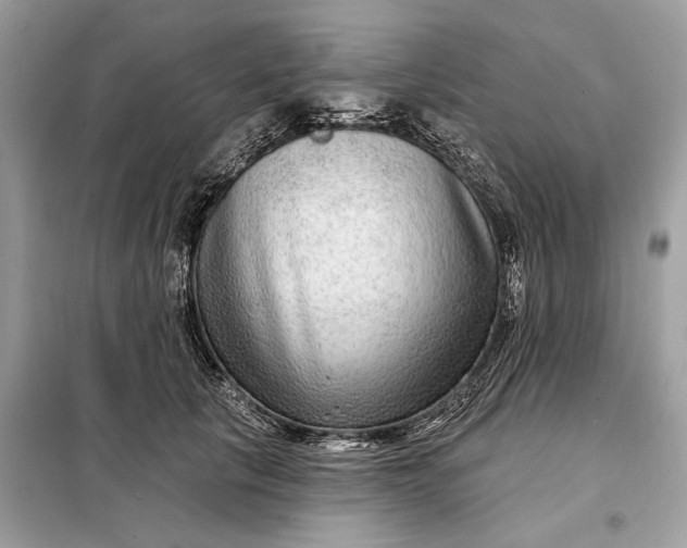 X0000098170657200805081002