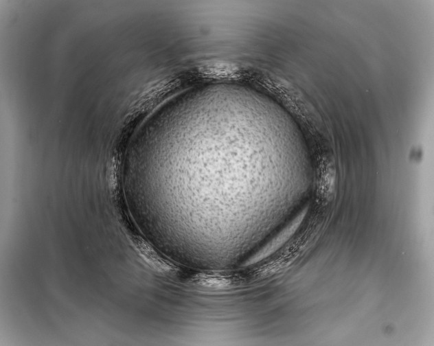 X0000098170658200805081002