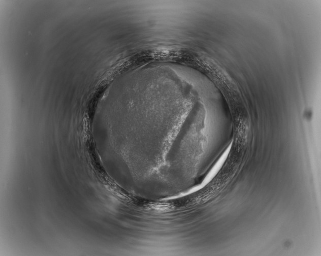 X0000098170659200805081002