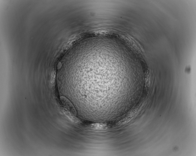 X0000098170660200805081002