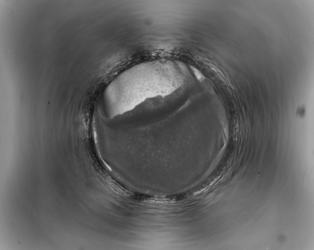 X0000098170661200805081002