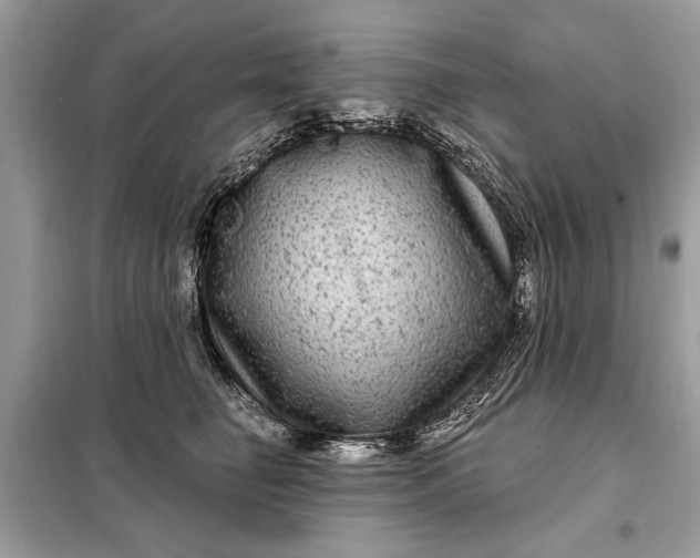 X0000098170662200805081002