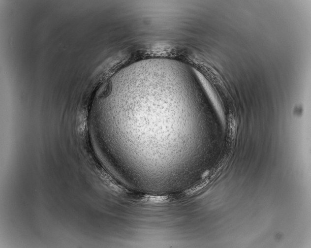 X0000098170665200805081002