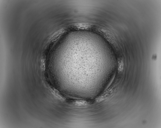 X0000098170666200805081002