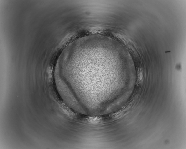 X0000098170667200805081002