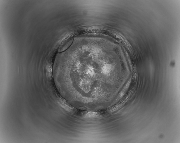 X0000098170669200805081002