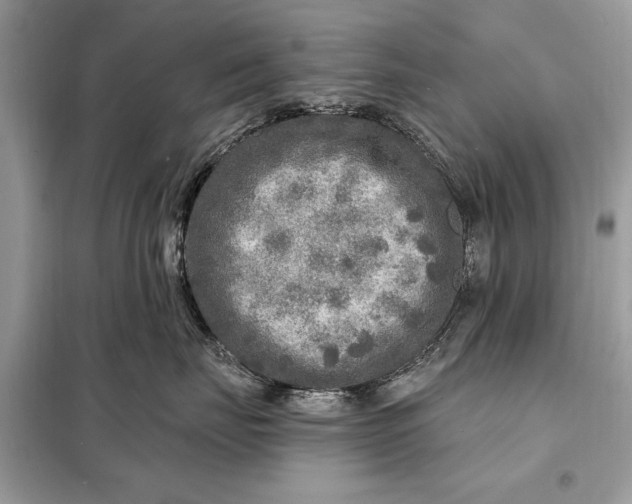 X0000098170671200805081002