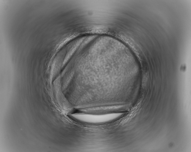 X0000098170673200805081002