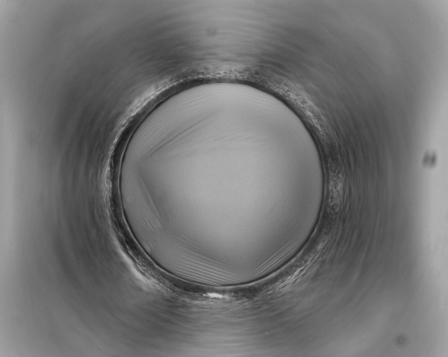 X0000098170674200805081002