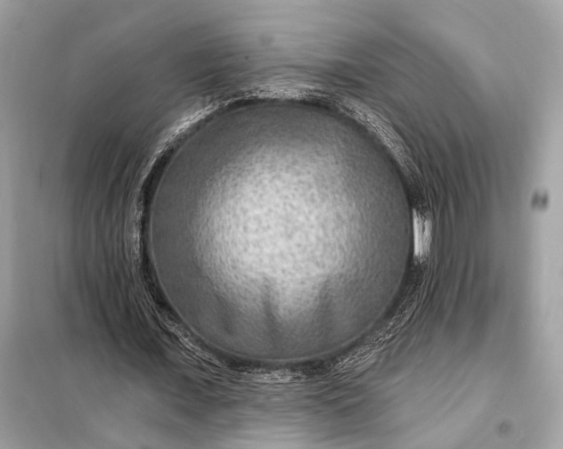 X0000098170675200805081002