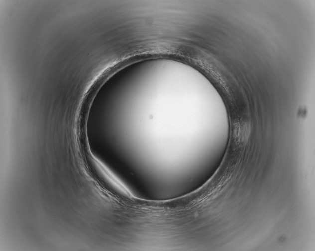 X0000098170676200805081002