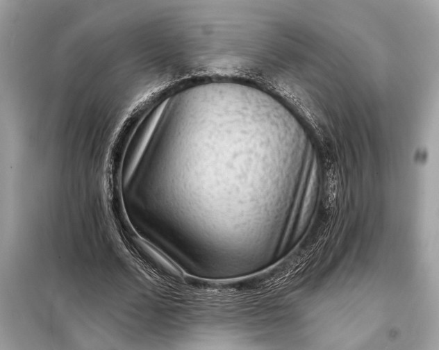 X0000098170680200805081001