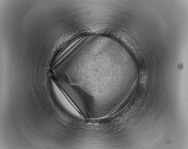 X0000098170685200805081001