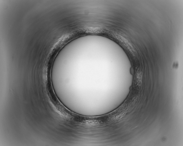 X0000098170686200805081001