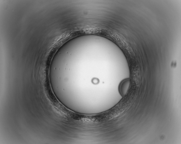 X0000098170690200805081001