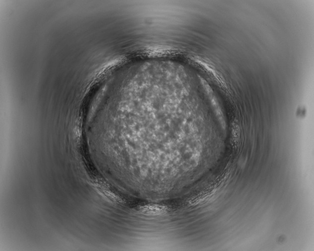 X0000098170691200805081001