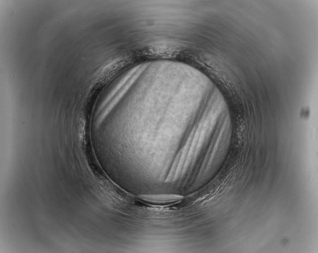 X0000098170693200805081001